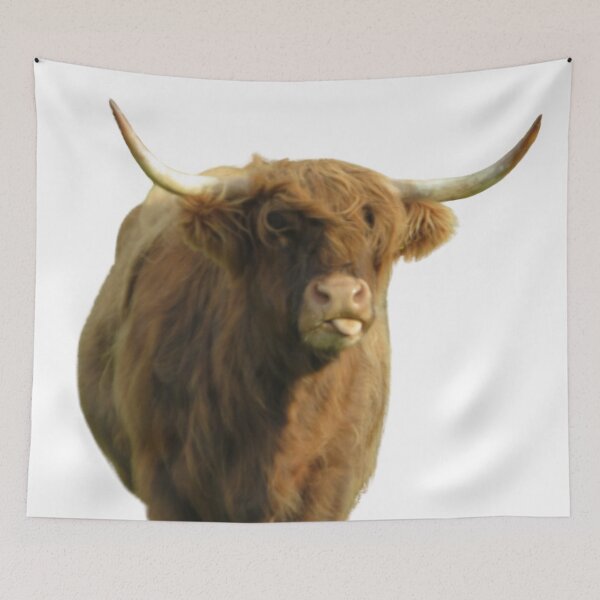 Item preview, Highland Cow sticking out tongue designed and sold by SnapsBySara.