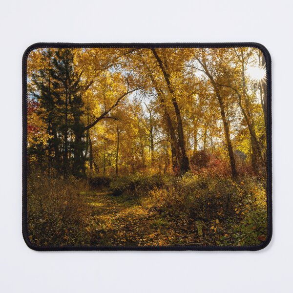 Item preview, Shadows of an Autumn Sun designed and sold by DawsonImages.