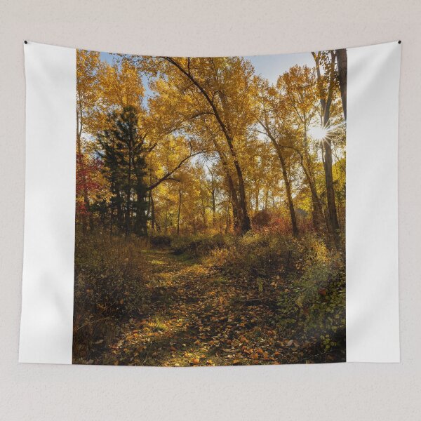 Item preview, Shadows of an Autumn Sun designed and sold by DawsonImages.