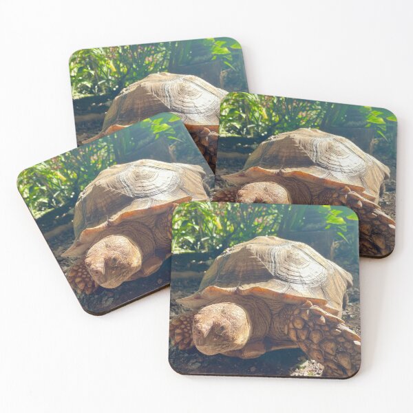Item preview, Tortoise in the Garden – Giant Land Turtle Photography designed and sold by TrisaThyme.