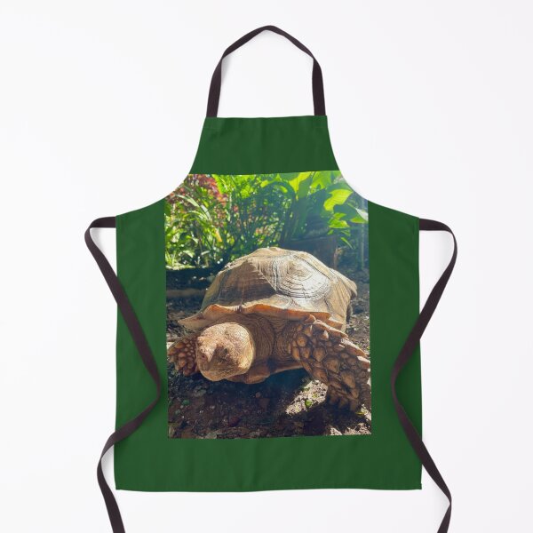 Item preview, Tortoise in the Garden – Giant Land Turtle Photography designed and sold by TrisaThyme.