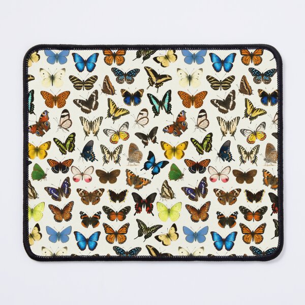 Item preview, Butterflies of the World Illustration Chart designed and sold by kakarikihill.