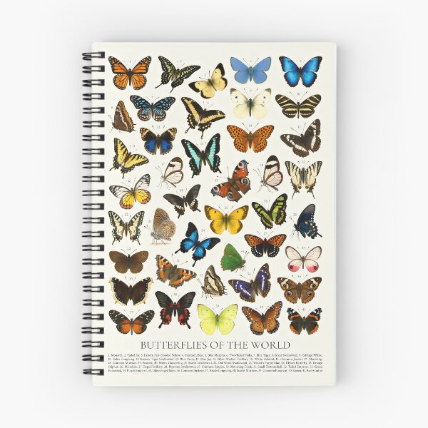 Item preview, Butterflies of the World Illustration Chart designed and sold by kakarikihill.