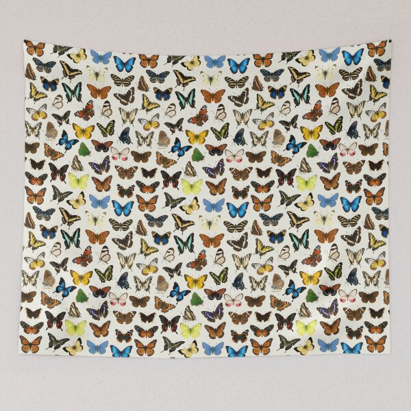 Item preview, Butterflies of the World Illustration Chart designed and sold by kakarikihill.