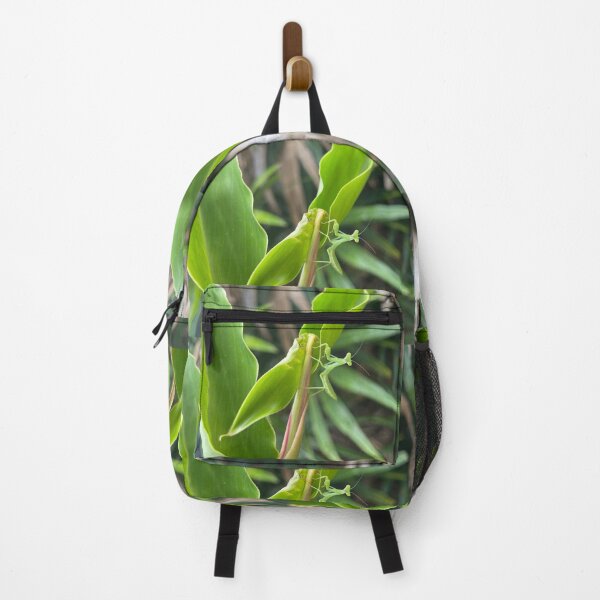 Item preview, Praying Mantis on Fresh Green Tropical Leaves designed and sold by TrisaThyme.