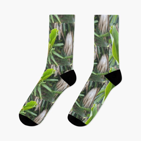 Item preview, Praying Mantis on Fresh Green Tropical Leaves designed and sold by TrisaThyme.