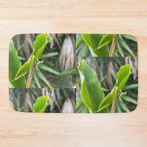 Item preview, Praying Mantis on Fresh Green Tropical Leaves designed and sold by TrisaThyme.