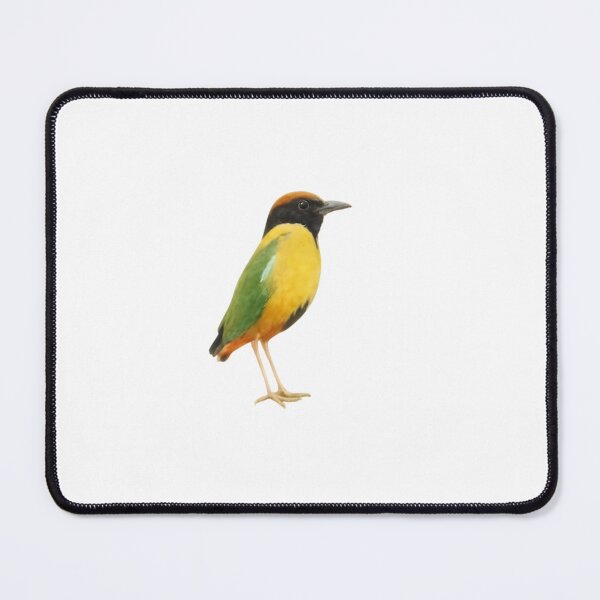 Item preview, Noisy Pitta (Pitta versicolor) designed and sold by HOMETOWN86.