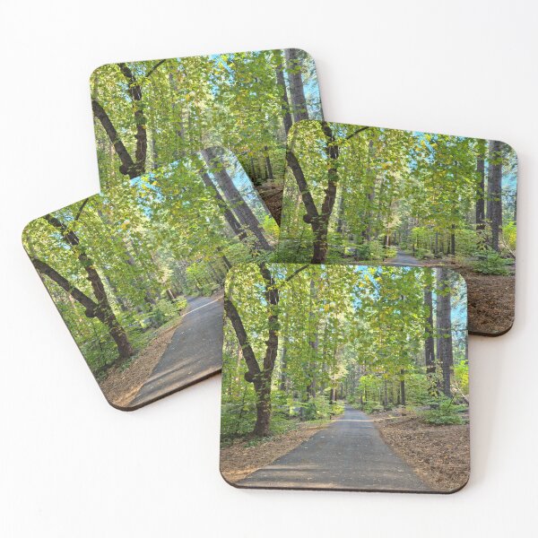 Item preview, Sendero en el bosque designed and sold by Betsy Phillips.