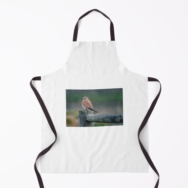 Item preview, Nankeen Kestrel, Point Wilson, Victoria. designed and sold by PVphotography.