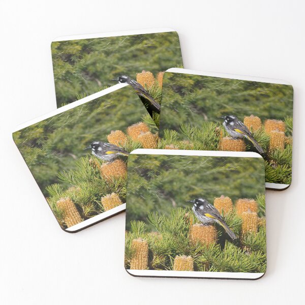 Item preview, New holland honeyeater  designed and sold by PVphotography.