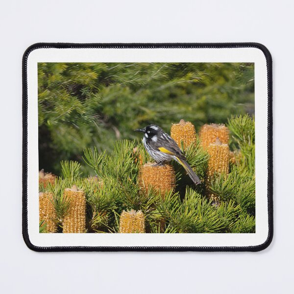 Item preview, New holland honeyeater designed and sold by PVphotography.