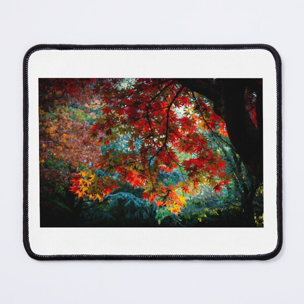 Item preview, Autumn leaves designed and sold by PVphotography.