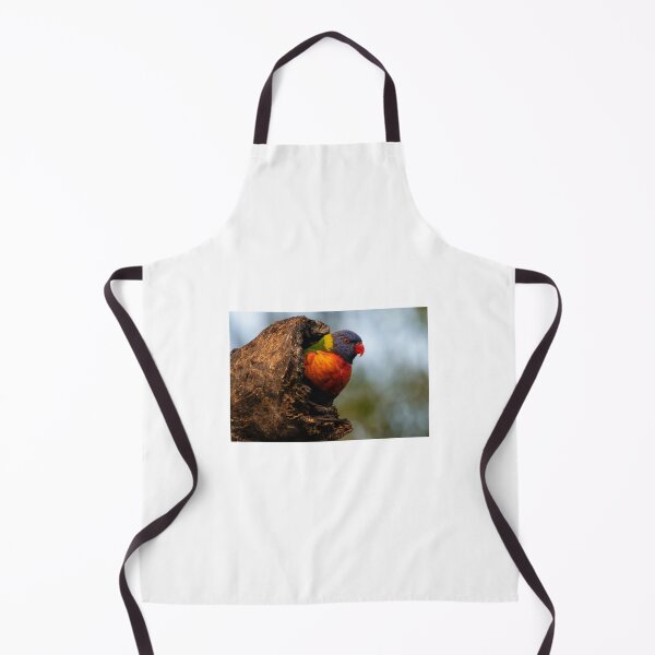 Item preview, Rainbow lorikeet in her nest designed and sold by PVphotography.