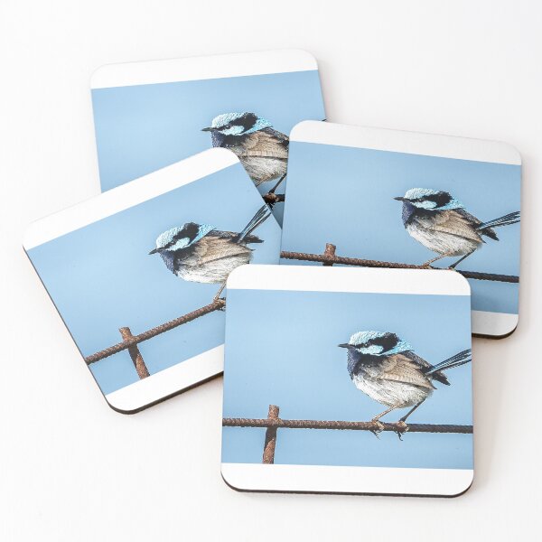 Item preview, Superb fairy wren. designed and sold by PVphotography.