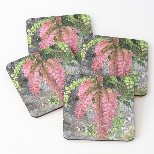 Item preview, Blush Fern Against Stone designed and sold by TrisaThyme.