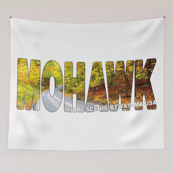 Item preview, MOHAWK TRAIL Scenic Byway MA USA - Fall Trees Drive designed and sold by Adam Gormley.