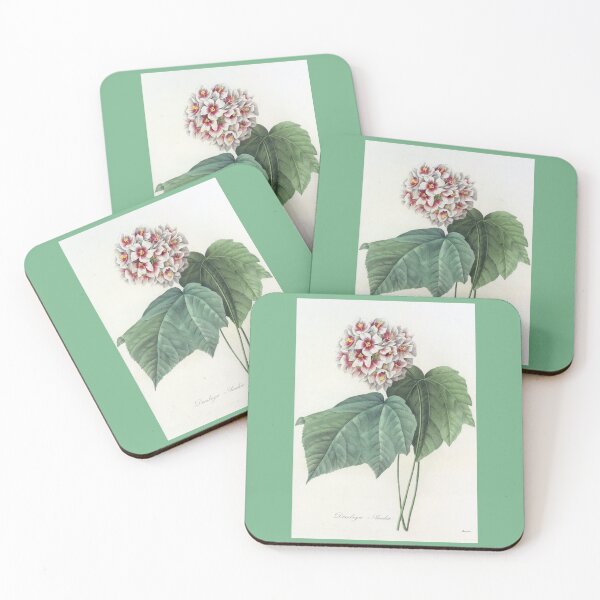 Item preview, Pierre-Joseph Redouté: Dombeya Ameliae designed and sold by Tridentulus.