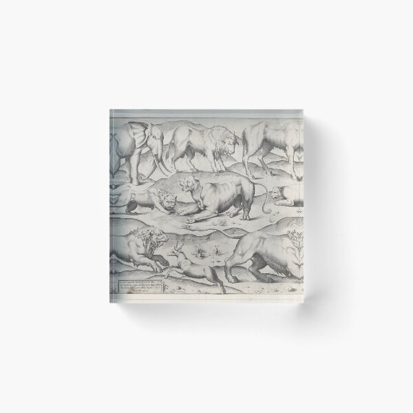 Item preview, Wild Animals from "Speculum Romanae Magnificentiae" 1547 designed and sold by AnimaliaStar.