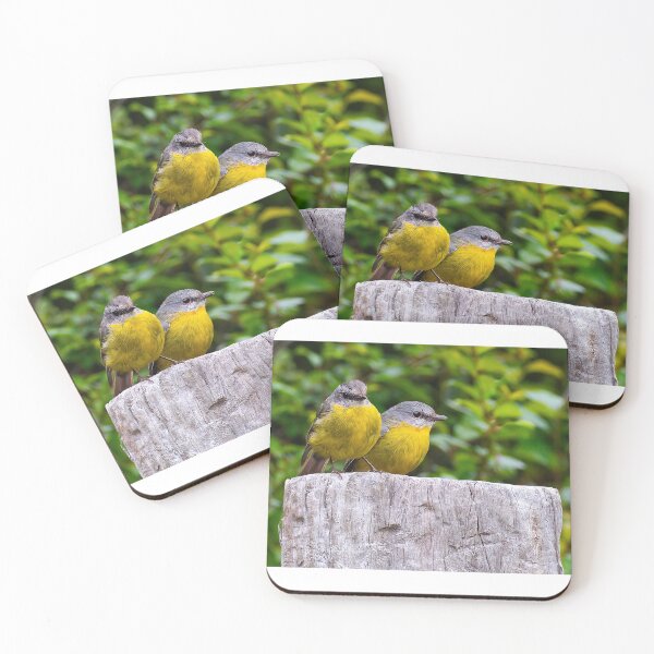 Item preview, A pair of Eastern yellow robins, Emerald, Vic. designed and sold by PVphotography.