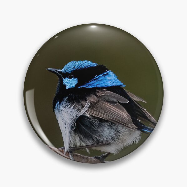 Item preview, Superb fairy wren designed and sold by PVphotography.