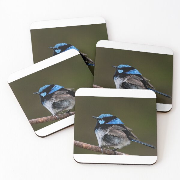 Item preview, Superb fairy wren designed and sold by PVphotography.