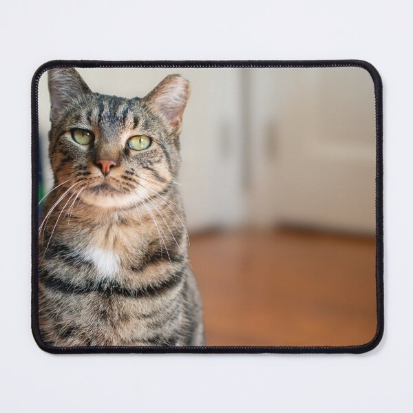 Item preview, Cyrano De Bergecat designed and sold by Polky Art.