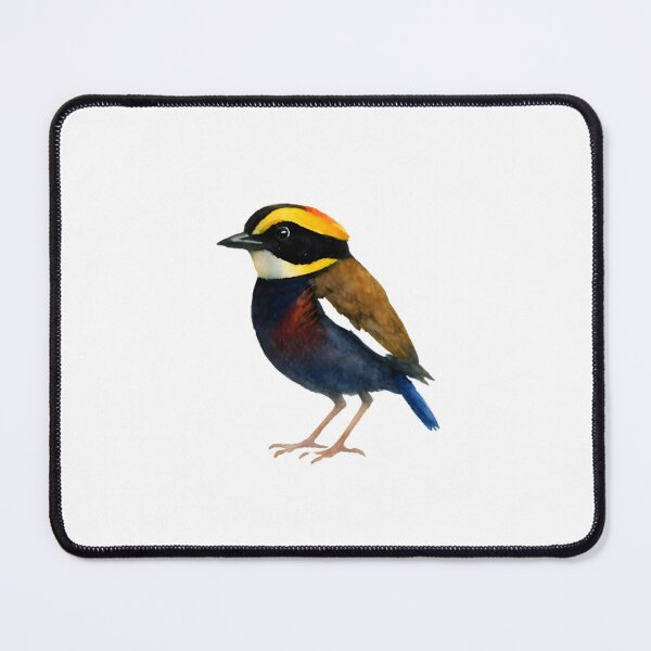 Item preview, Banded Pitta (Hydrornis guajana) designed and sold by HOMETOWN86.