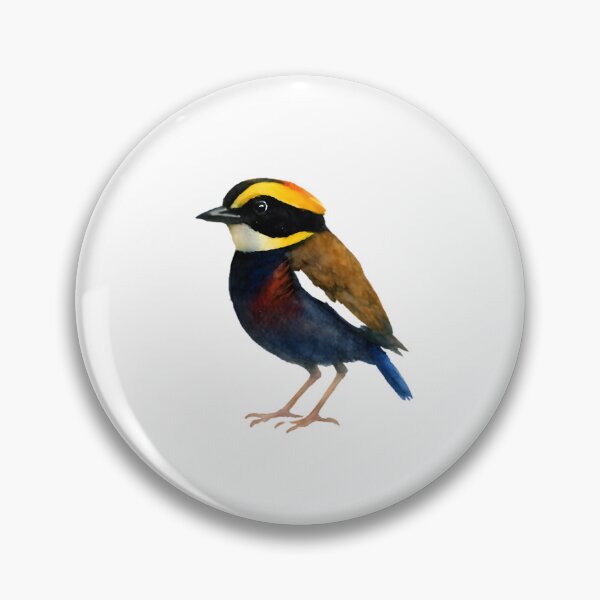 Item preview, Banded Pitta (Hydrornis guajana) designed and sold by HOMETOWN86.