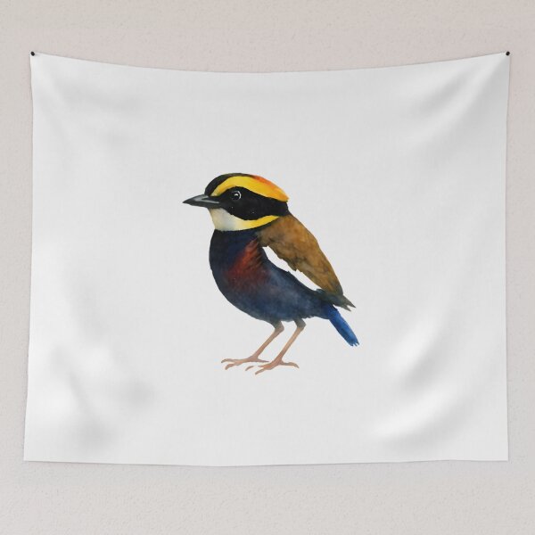 Item preview, Banded Pitta (Hydrornis guajana) designed and sold by HOMETOWN86.