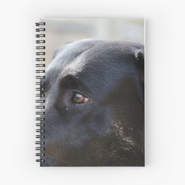 Item preview, Portrait of a black dog in the sun designed and sold by rolfzogg.