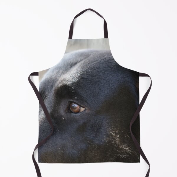 Item preview, Portrait of a black dog in the sun designed and sold by rolfzogg.