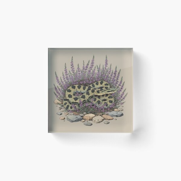 Item preview, Adder Among Heather and Rocks Artwork designed and sold by BirdsnStuff.