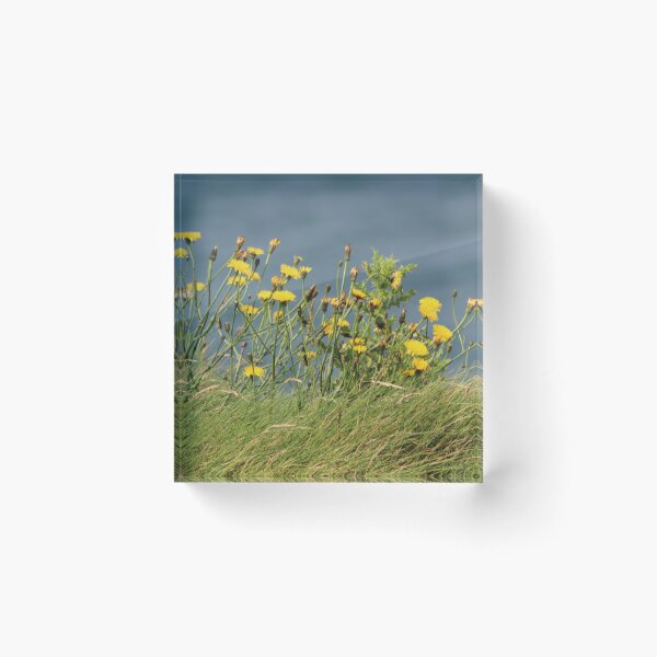 Item preview, Cliffs of Moher designed and sold by Marije Kouyzer.