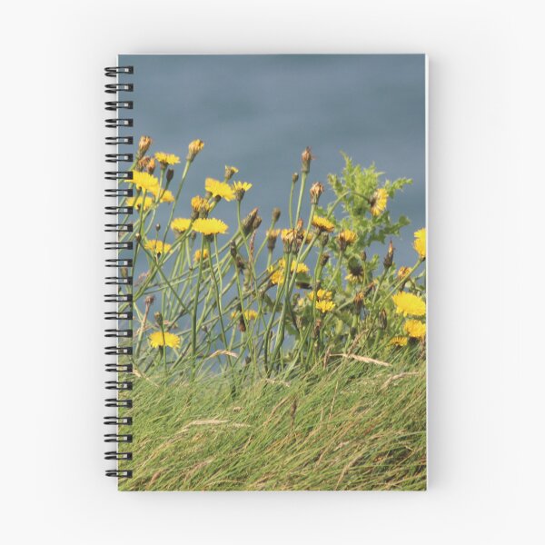 Item preview, Cliffs of Moher designed and sold by Marije Kouyzer.