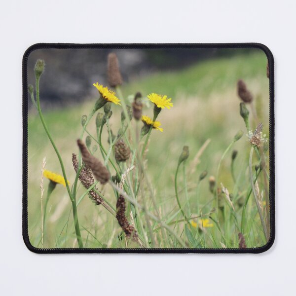 Item preview, Cliffs of Moher designed and sold by Marije Kouyzer.