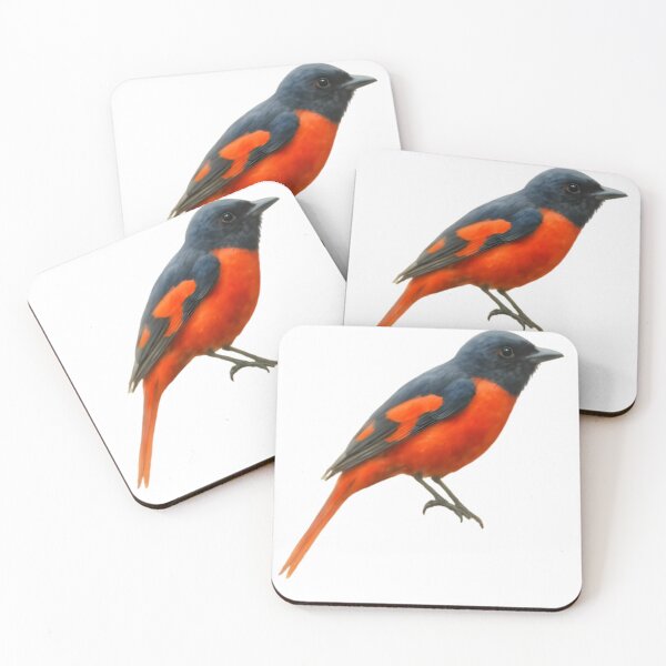 Item preview, Scarlet Minivet (Pericrocotus speciosus) designed and sold by HOMETOWN86.
