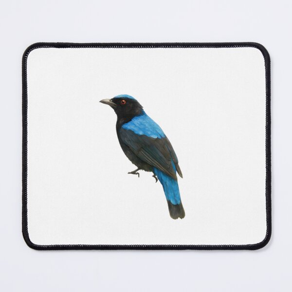 Item preview, Asian Fairy-bluebird (Irena puella) designed and sold by HOMETOWN86.