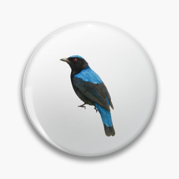 Item preview, Asian Fairy-bluebird (Irena puella) designed and sold by HOMETOWN86.