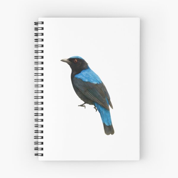 Item preview, Asian Fairy-bluebird (Irena puella) designed and sold by HOMETOWN86.