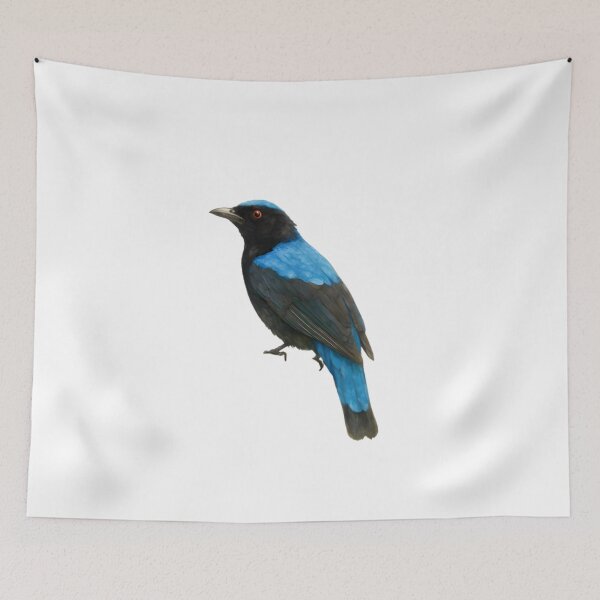 Item preview, Asian Fairy-bluebird (Irena puella) designed and sold by HOMETOWN86.