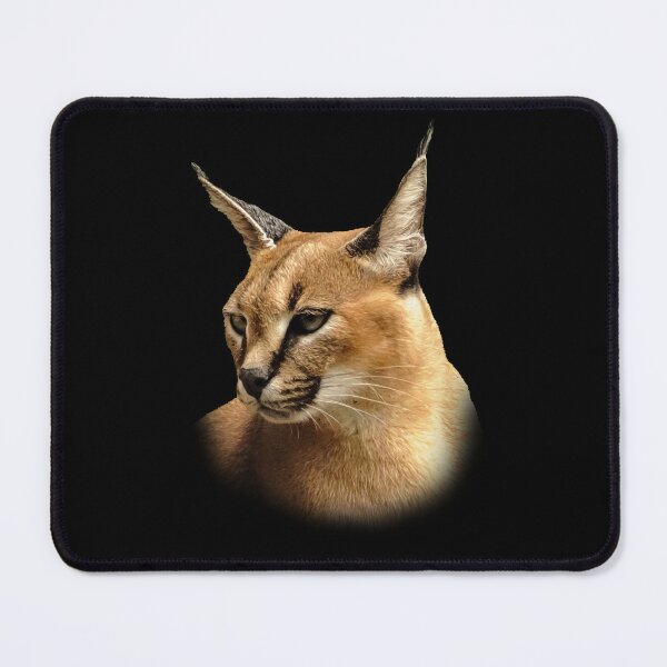 Item preview, Caracal designed and sold by Guardi71.
