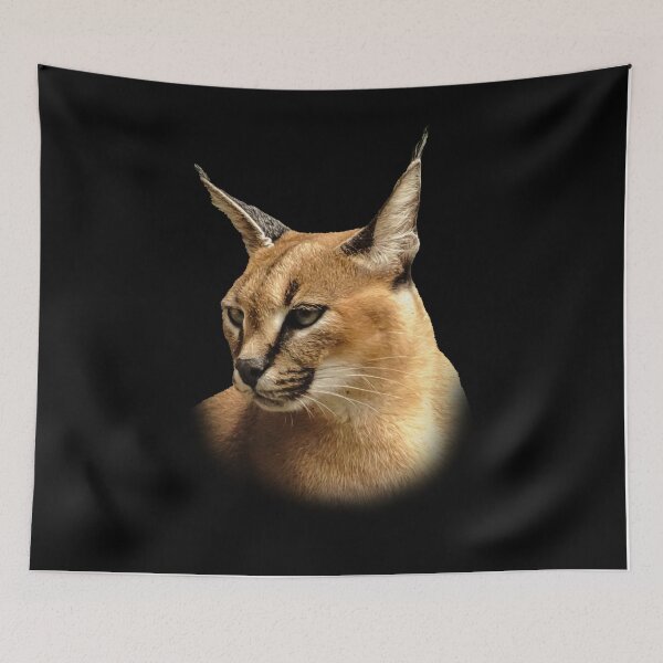 Item preview, Caracal designed and sold by Guardi71.