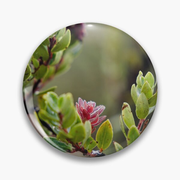 Item preview, Fragile pink bursts on still-damp foliage designed and sold by franck380.