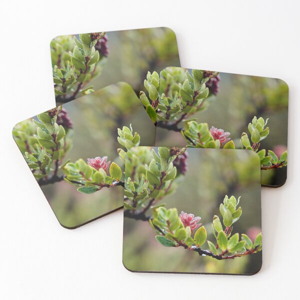 Item preview, Fragile pink bursts on still-damp foliage designed and sold by franck380.