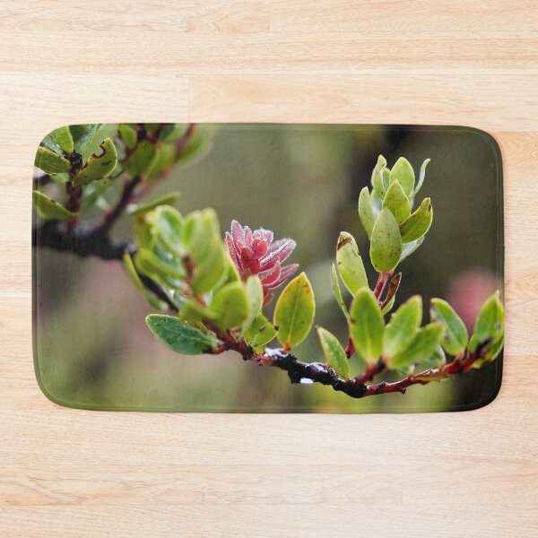 Item preview, Fragile pink bursts on still-damp foliage designed and sold by franck380.