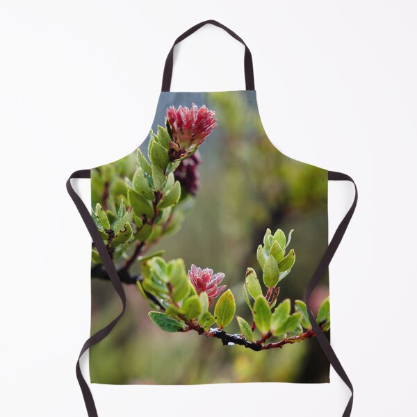 Item preview, Fragile pink bursts on still-damp foliage designed and sold by franck380.