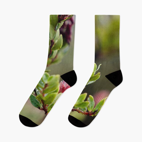 Item preview, Fragile pink bursts on still-damp foliage designed and sold by franck380.