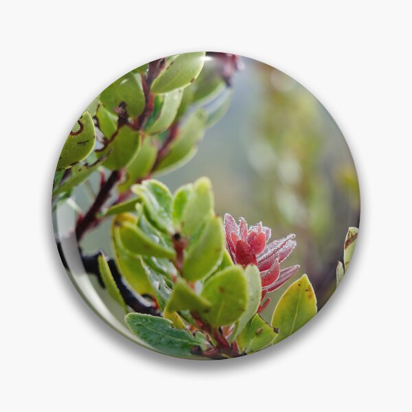 Item preview, Fragile pink bursts on still-damp foliage designed and sold by franck380.