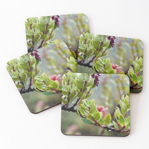 Item preview, Fragile pink bursts on still-damp foliage designed and sold by franck380.